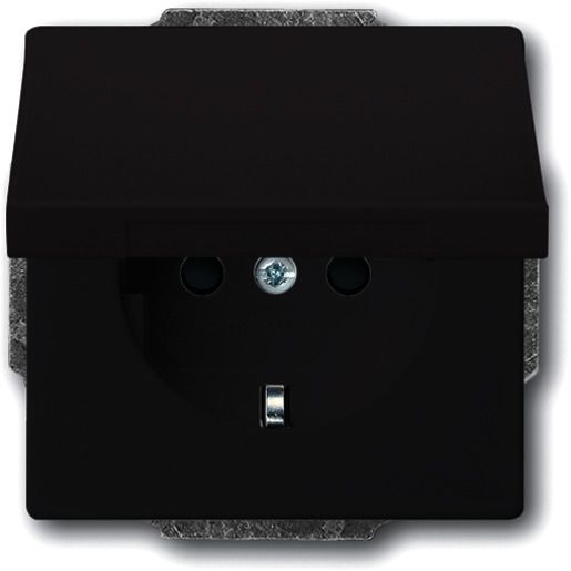 Busch-Jaeger CARAT SCHUKO-STD+D / BUSCH 20 EUK-81 2CKA002018A1486