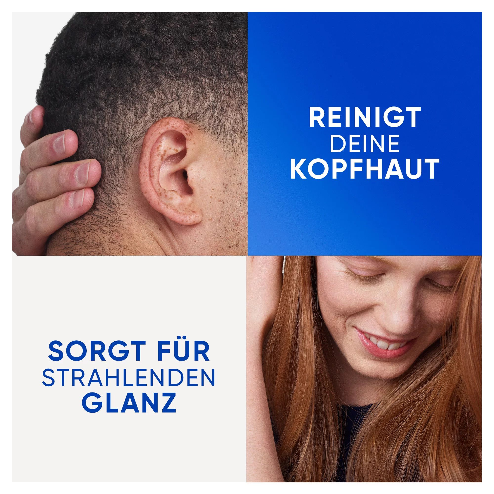 Head & Shoulders Anti-Schuppen Shampoo Reinigung & Glanz