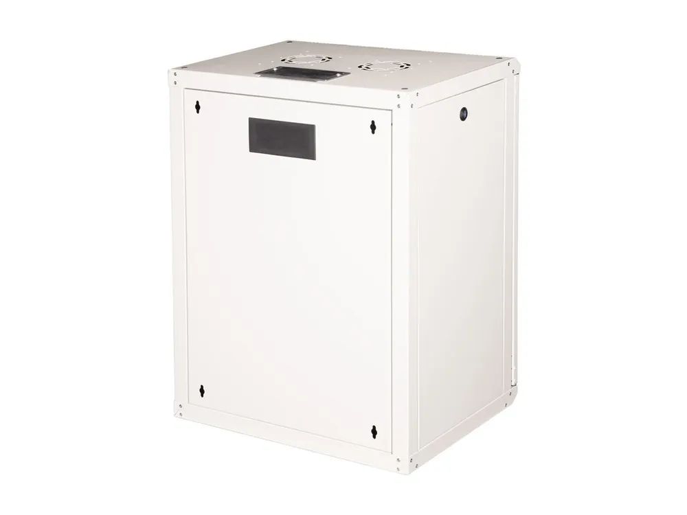 ROLINE Pro - Schrank Netzwerkschrank - 600 x 450 mm (B x T)