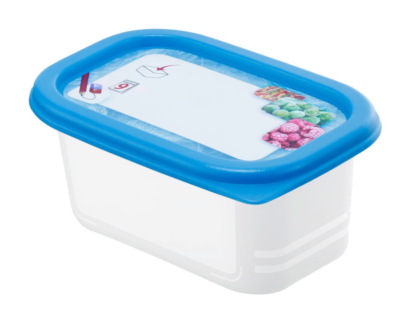 Rotho Set Gefrierdosen 4 x 0.2 l DOMINO