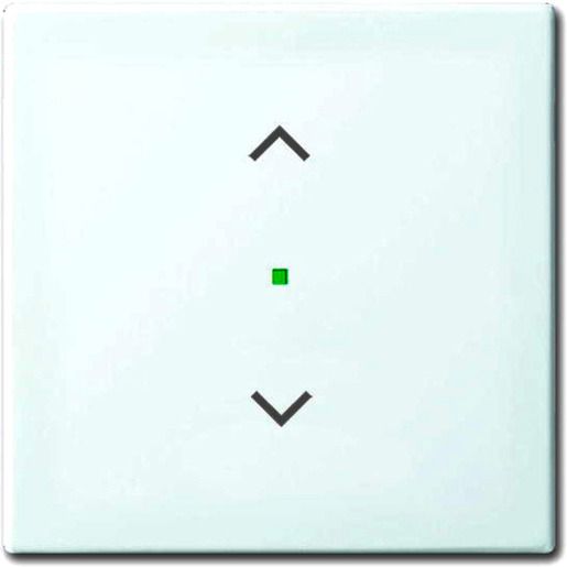 Busch-Jaeger WIPPE 1-FACH, JALOUSIE / BUSCH 6232-10-914 2CKA006220A0357