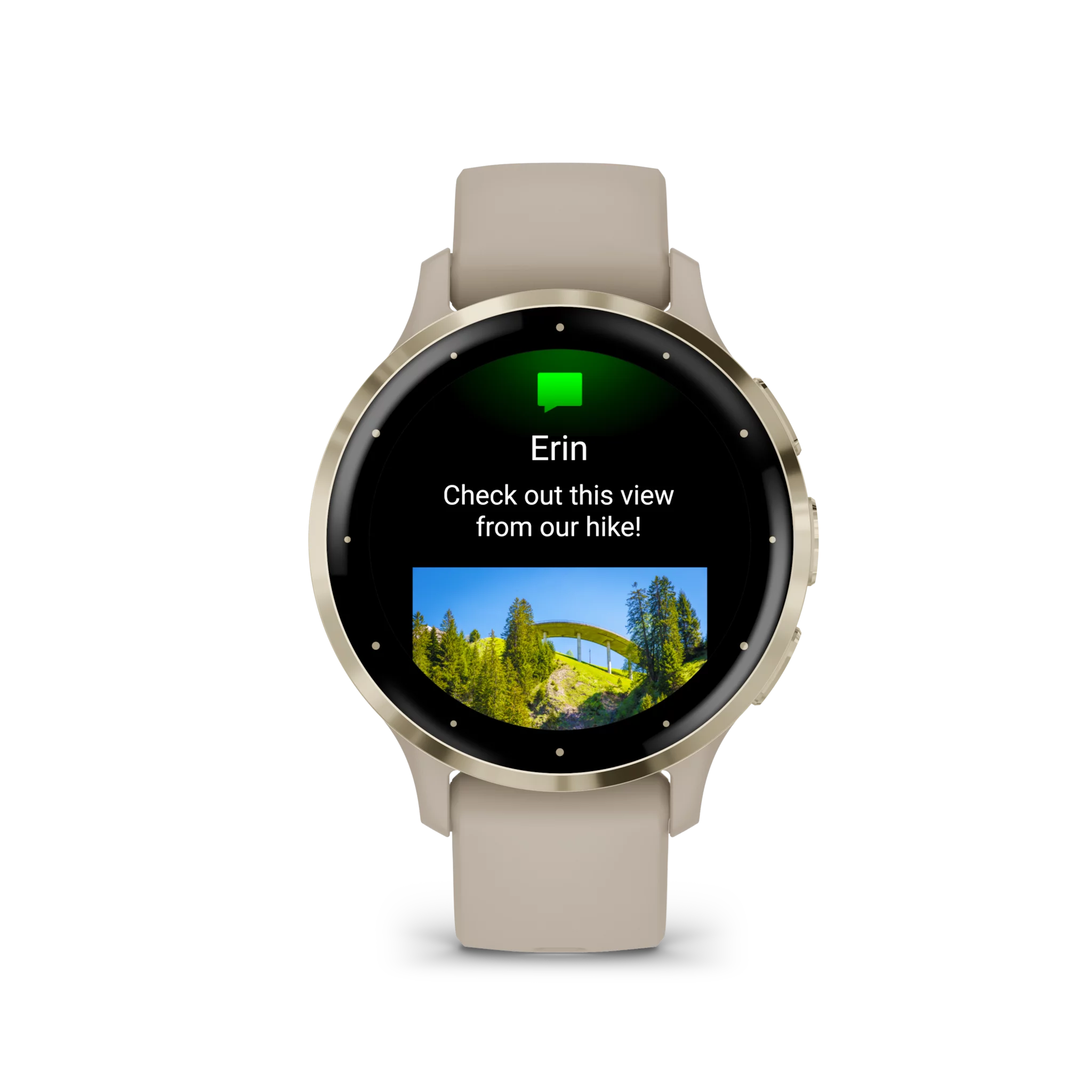 Garmin VENU 3S, French Gray/Softgold
