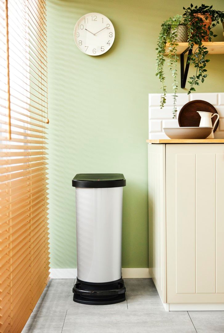 Rotho Treteimer mono 50 l PASO