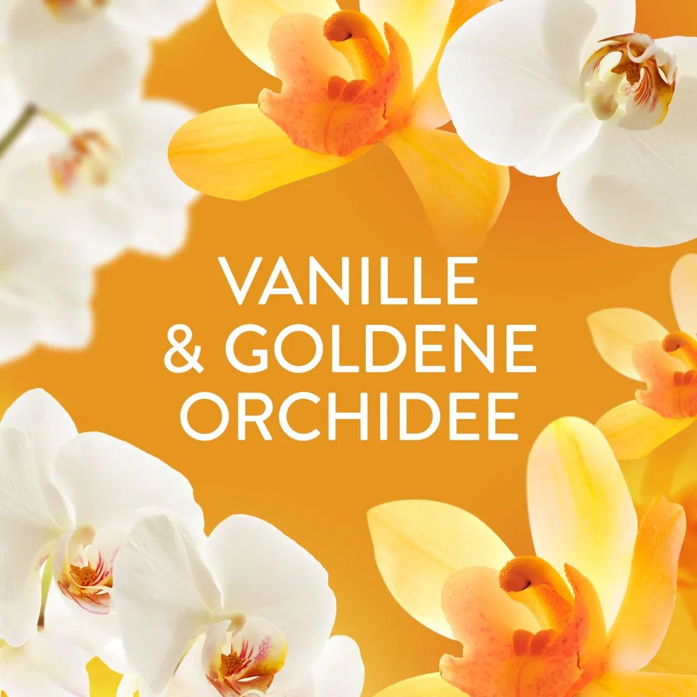 Lenor Wäscheparfüm, Orchidee & Vanille, 280g