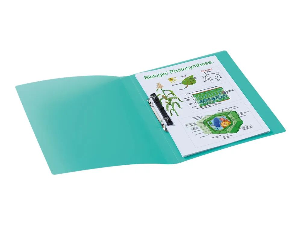 HERMA Ringbuch - Rückenbreite: 25 mm - für A4