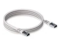 Teltonika Patch-Kabel - RJ-45 (M) zu RJ-45 (M)