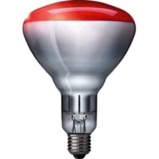 Philips TROCKENSTRAHLER ROT 150W / PHILI IR 150 R E27 871150057520325