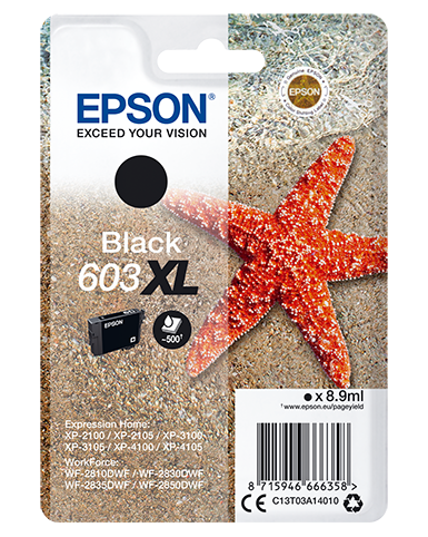 Epson 603 Tinte Seestern Singe, XL, schwarz