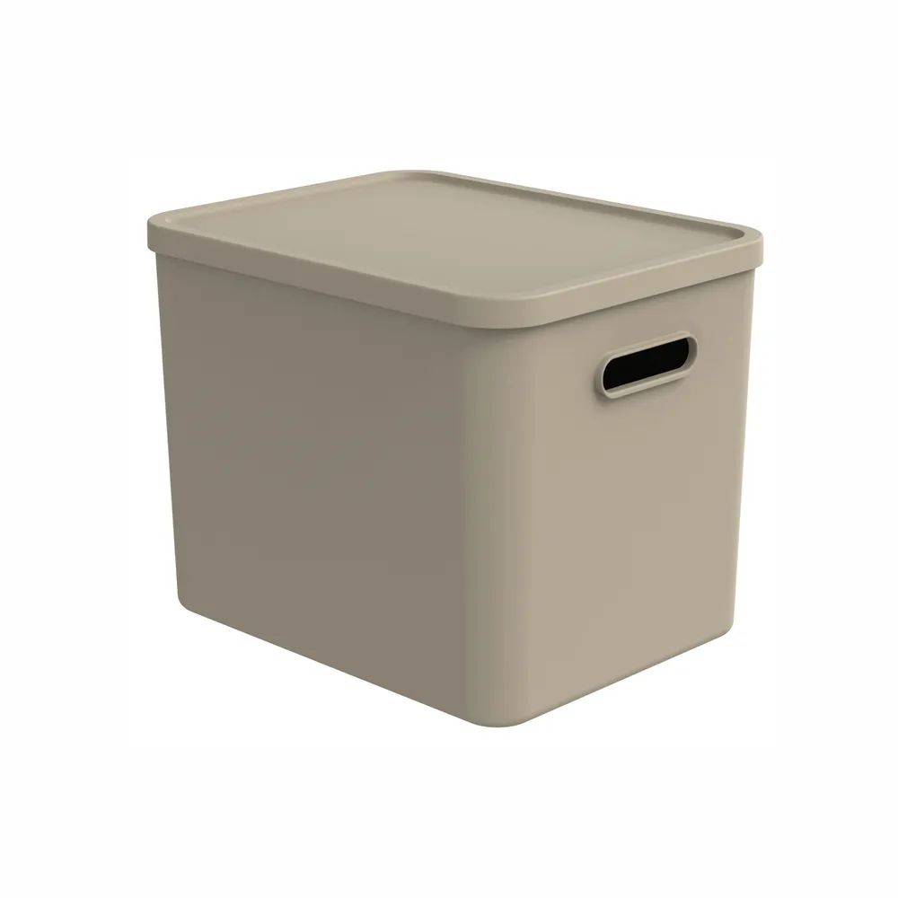 Rotho Multi box L KAYO