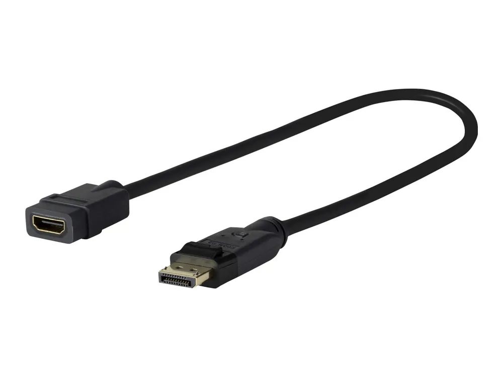 VivoLink Pro - HDMI-Adapter - DisplayPort männlich