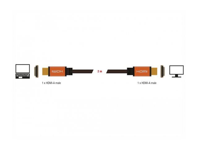 Delock HDMI-Kabel - HDMI männlich zu HDMI männlich