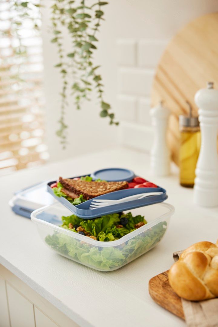Rotho Salatbox 1.7 l MEMORY B3