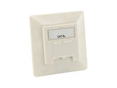 Equip Professional - Anschlussdose, Unterputz - CAT 6a - STP - RJ-45 X 2 - Pure White, RAL 9010 (Packung mit 5)