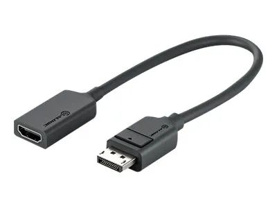Alogic Elements Series - Videoadapter - DisplayPort männlich zu HDMI weiblich