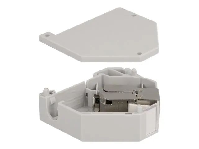 Delock Modularadapter - DIN schienenmontierbar