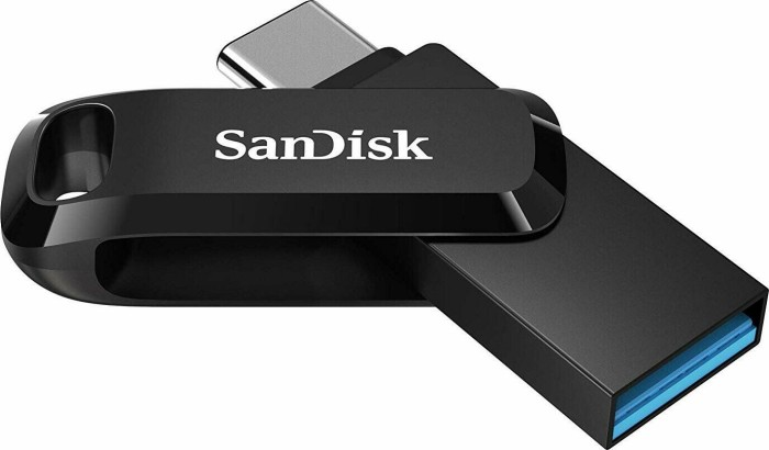 SanDisk Ultra Dual Drive Go - USB-Flash-Laufwerk