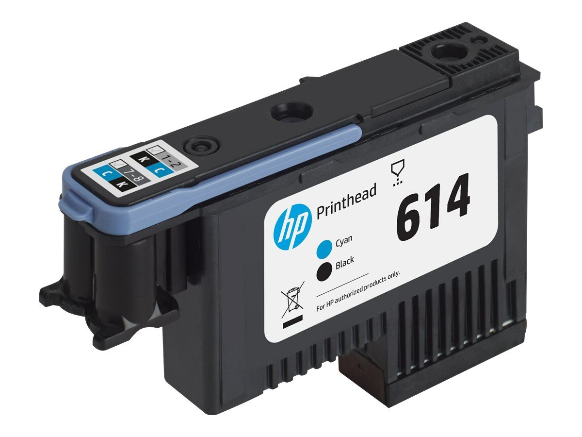 HP 618 - Cyan, Dye-Based Black - Original - Druckkopf