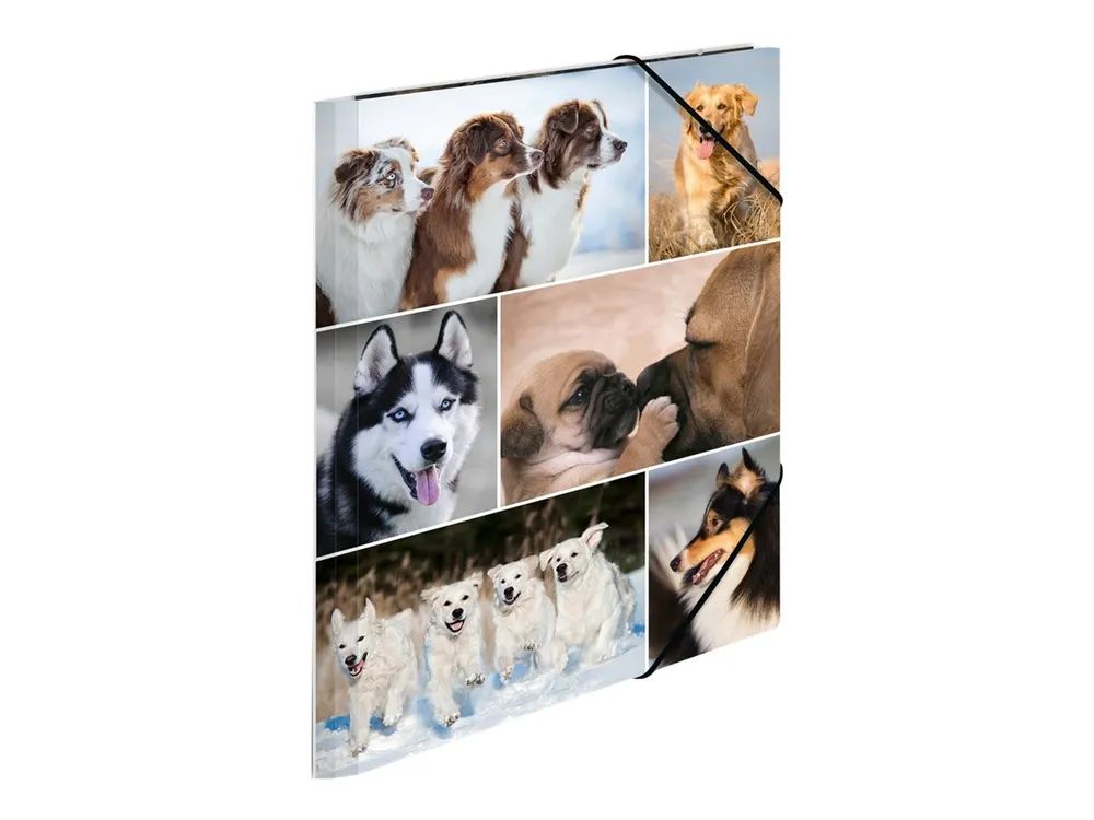 HERMA Aktenmappe mit 3 Klappen - für A4 - Hunde
