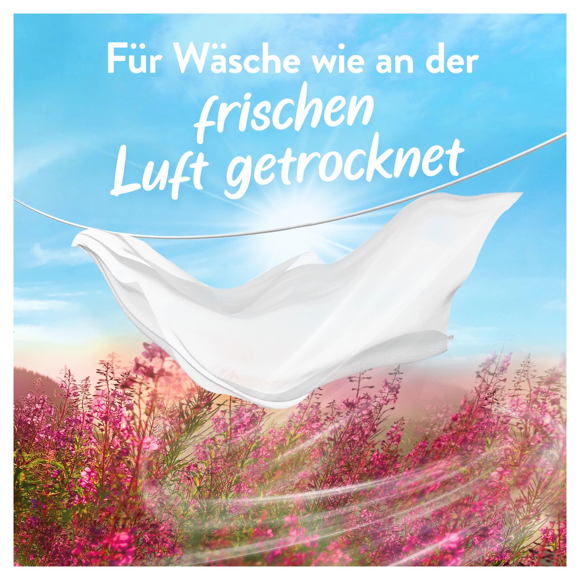 Lenor Luftfrisch Flasche Wildblumenfeld, 504ml 36WL