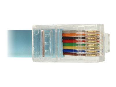 Delock Kabel seriell - USB (M) zu RJ-45 (M)