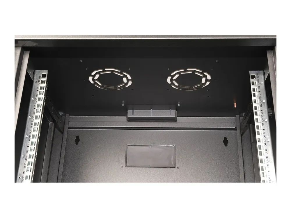 ROLINE Pro - Schrank Netzwerkschrank - 600 x 450 mm (T x B)