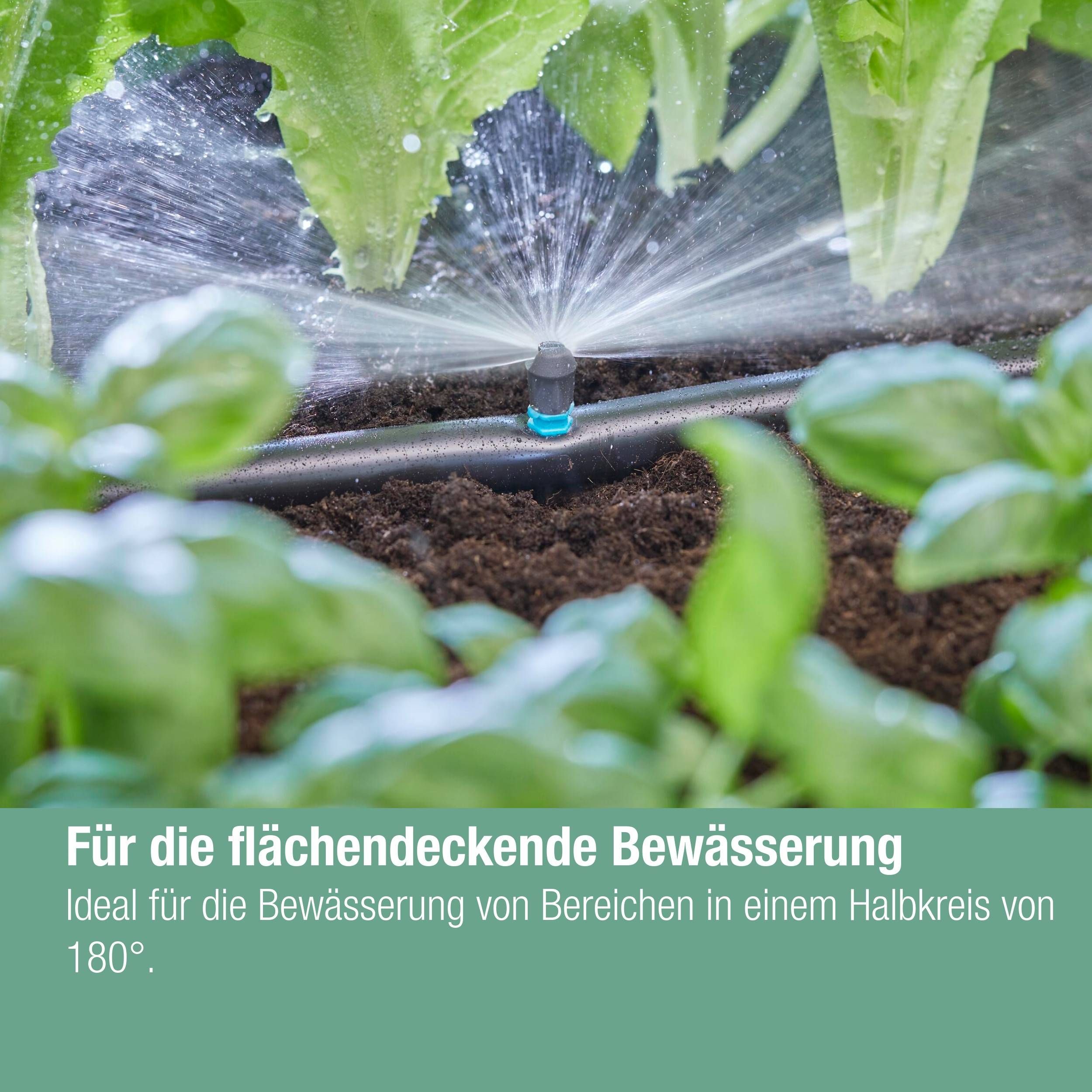 Gardena Micro-Drip-System Sprühdüse 180 Grad - Inhalt: 5 Stück
