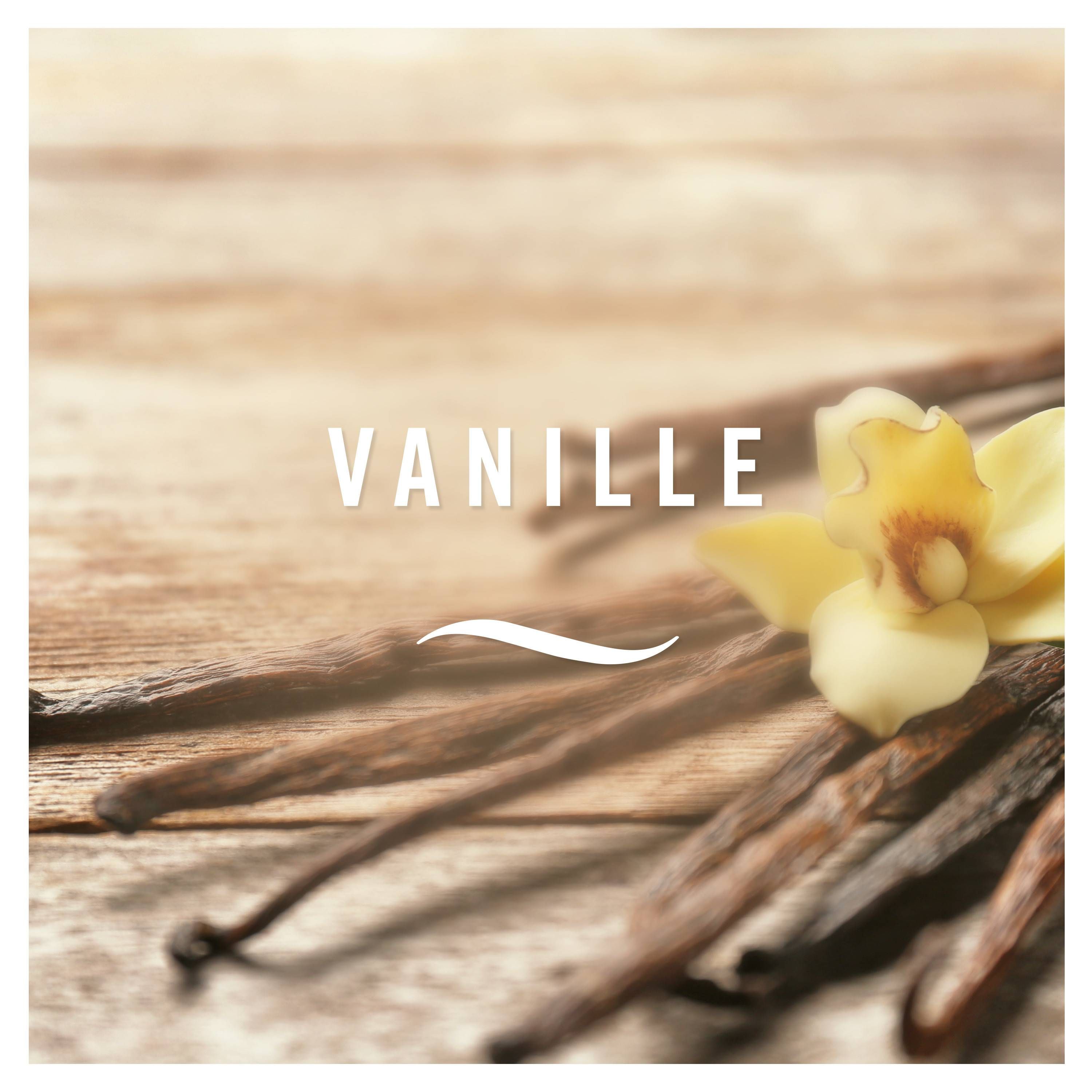 Febreze Car Vanille