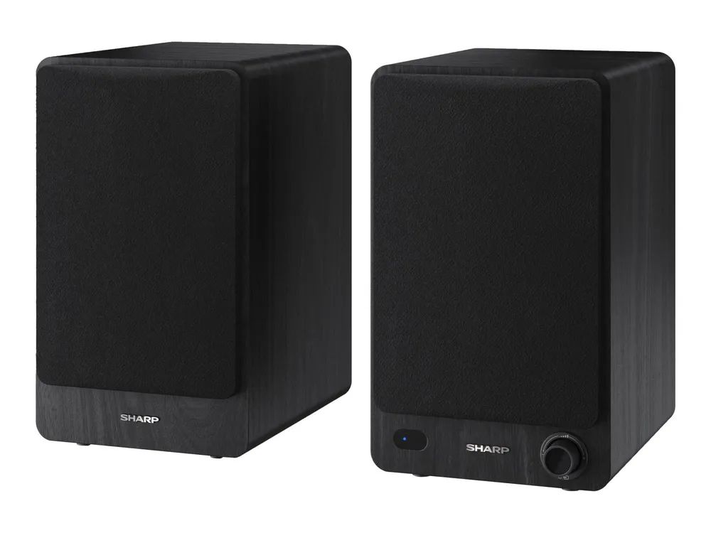 Sharp CP-SS30 - Lautsprecher - 2.0-Kanal - Bücherregal - kabellos - Bluetooth - USB - 60 Watt (Gesamt)