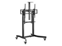 Equip Bodenstandhalter 55-100"/1TFT