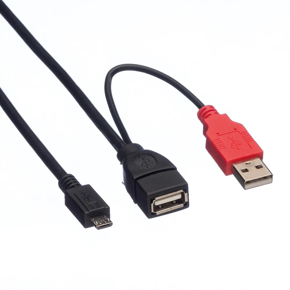 ROLINE USB 2.0 Y-Kabel, 2x Typ A (ST / BU) - Micro B ST, 1m