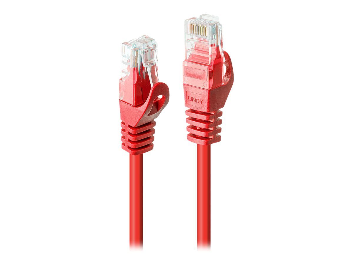 Lindy Basic - Patch-Kabel - RJ-45 (M) bis RJ-45 (M)