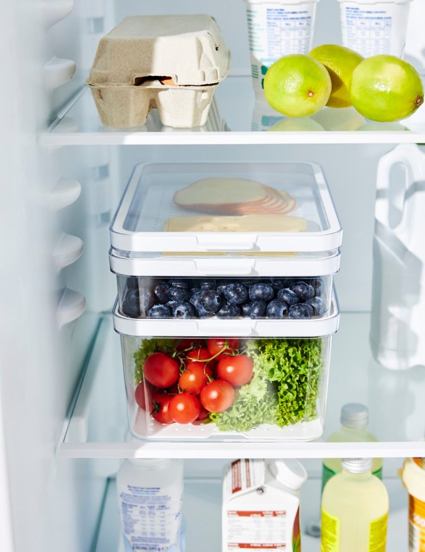 Rotho Kühlschrankorganizer 2,6 l CAUMA