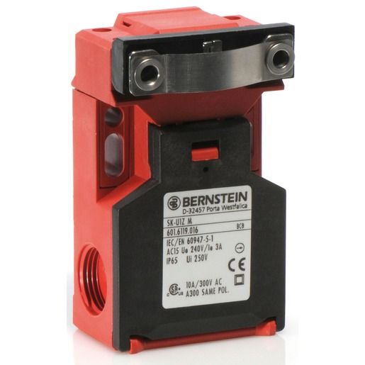 Bernstein SICH.SCHALTER KST GETR 1S 1Ö / BERNST SK-U1Z M 6016119016