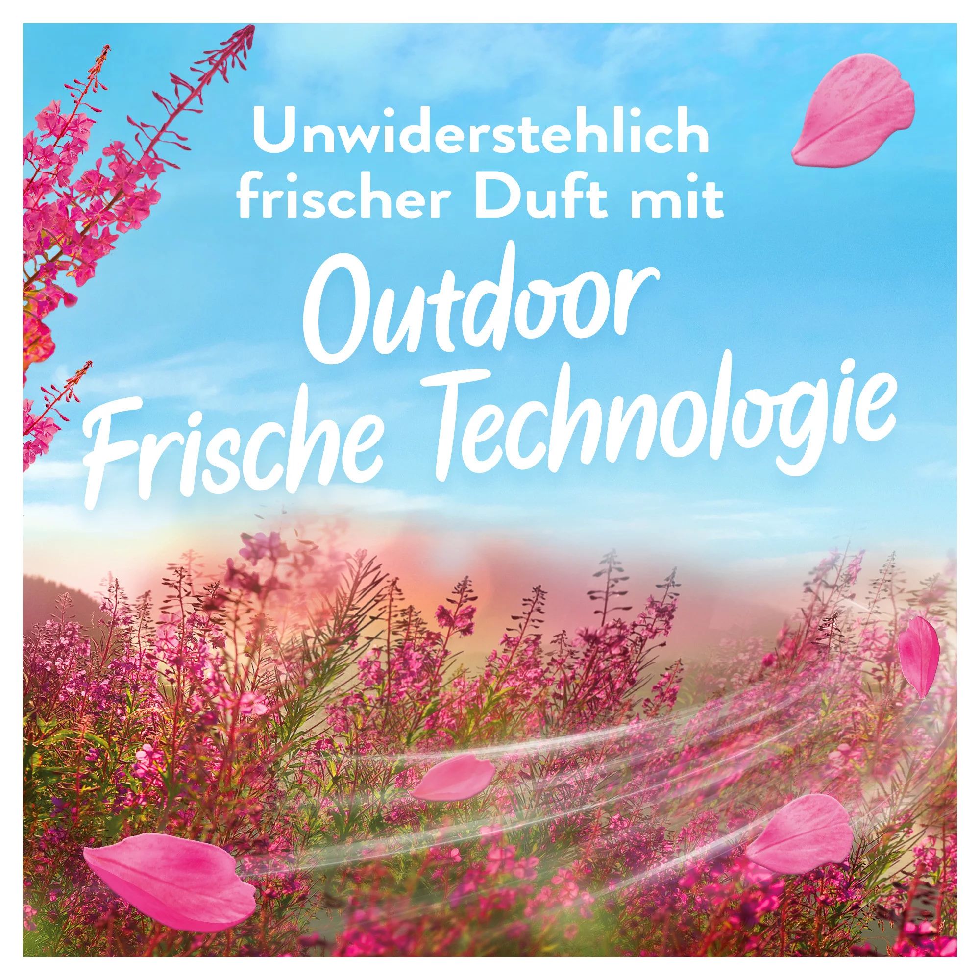 Lenor Luftfrisch Flasche Wildblumenfeld, 504ml 36WL