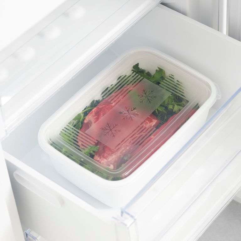 Rotho Gefrierdose 3.7 l FREEZE