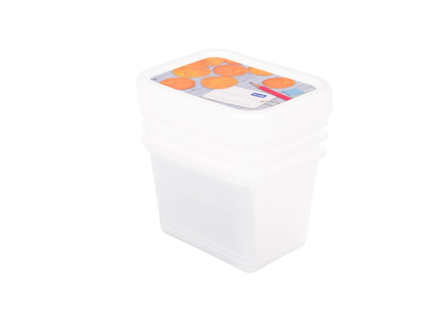 Rotho Set Gefrierdose 4 x 1 l DOMINO