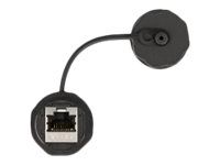 Delock Netzwerkkoppler - RJ-45 (W) zu RJ-45 (W)