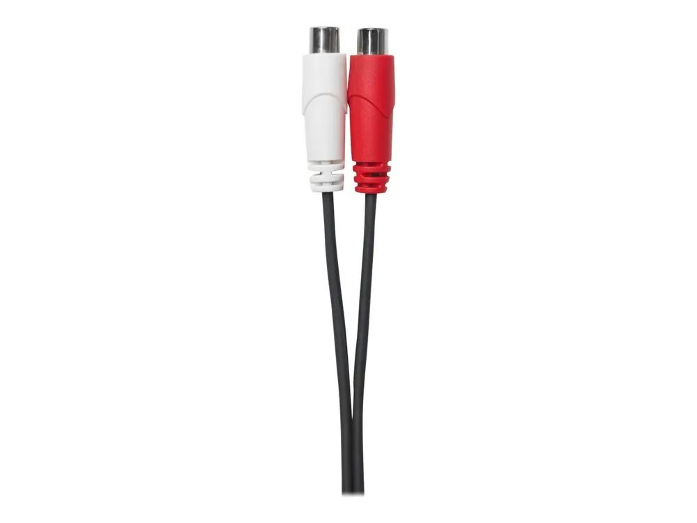 VivoLink Audiokabel - RCA x 2 weiblich zu mini-phone