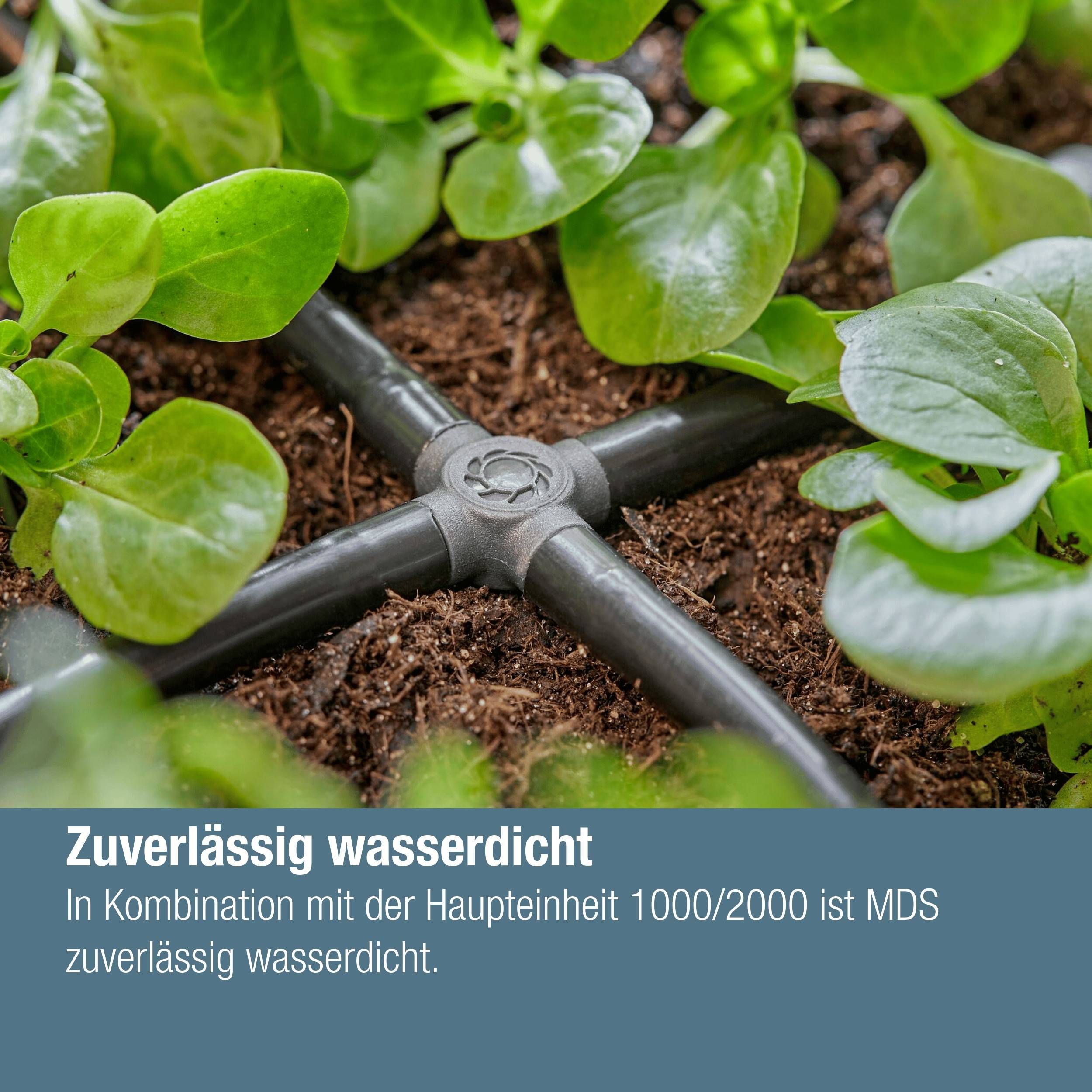 Gardena Micro-Drip-System Kreuzstück 4,6 mm (3/16") - Inhalt: 10 Stück