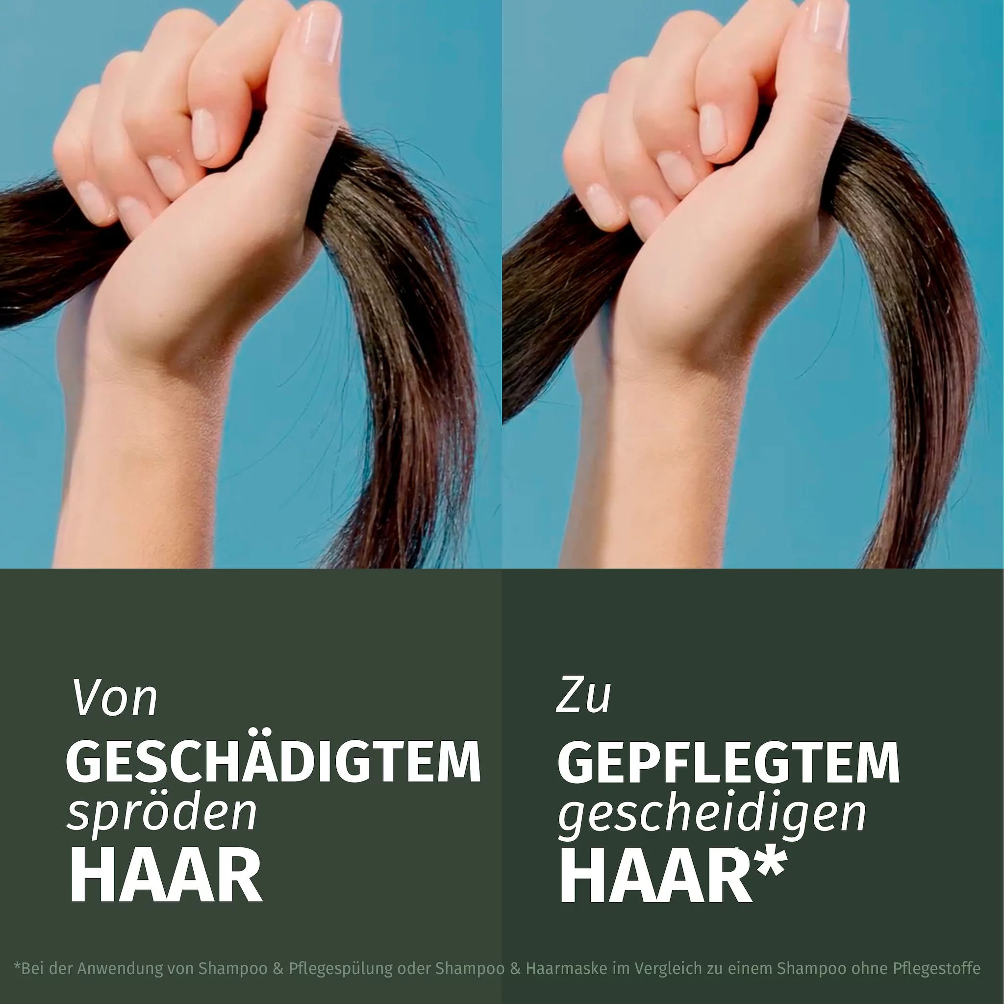 Herbal Essences Repair Argan Öl Pflegespülung