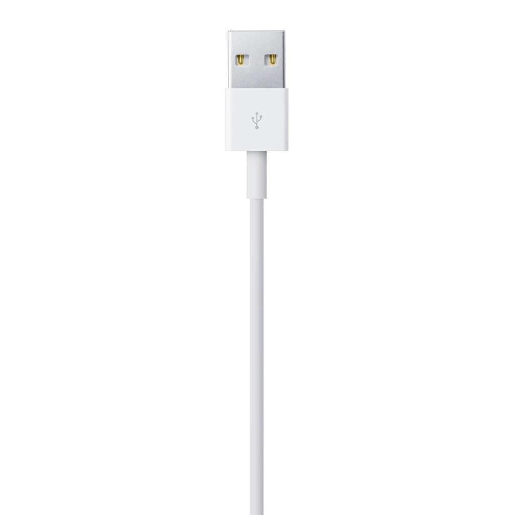 Apple Lightning-Kabel - Lightning männlich zu USB männlich