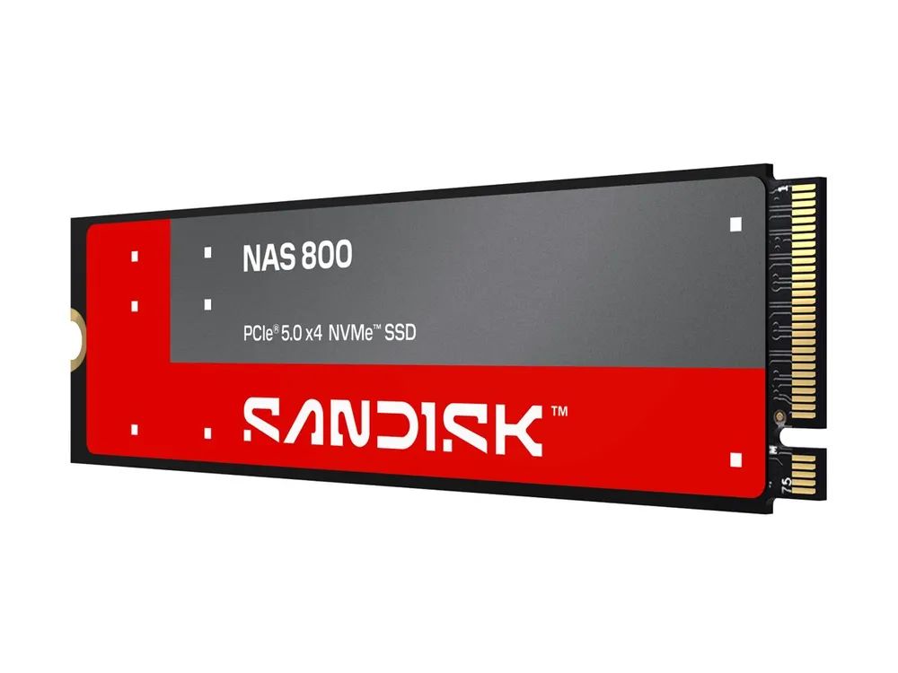SanDisk NAS 800 - SSD - verschlüsselt - 3.84 TB - intern - M.2 2280 S3-M (M.2 2280 S3-M)