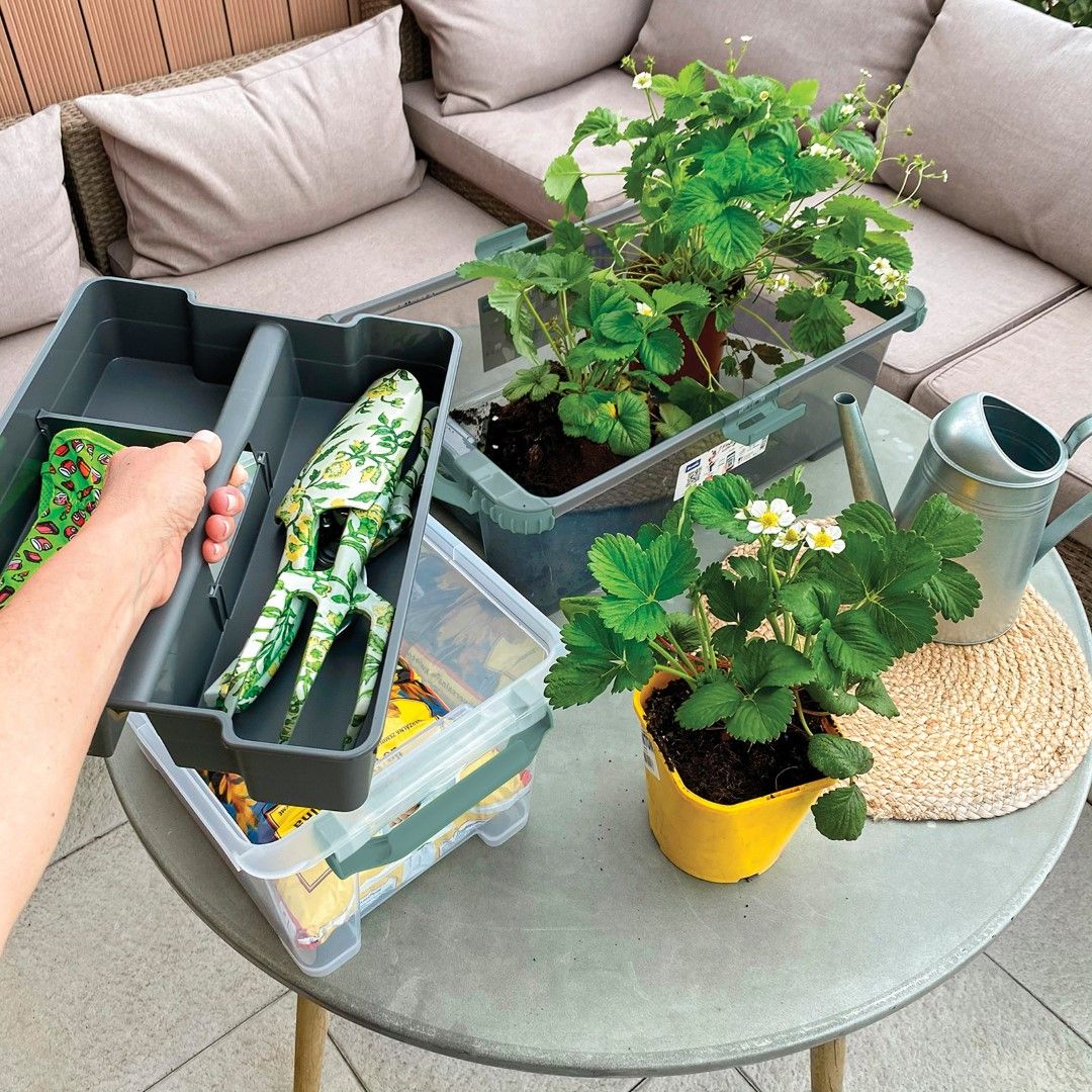 Rotho Organizer für 11 - 15 l Boxen EVO