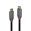 Lindy Anthra Line - USB-Kabel - 24 pin USB-C (M)