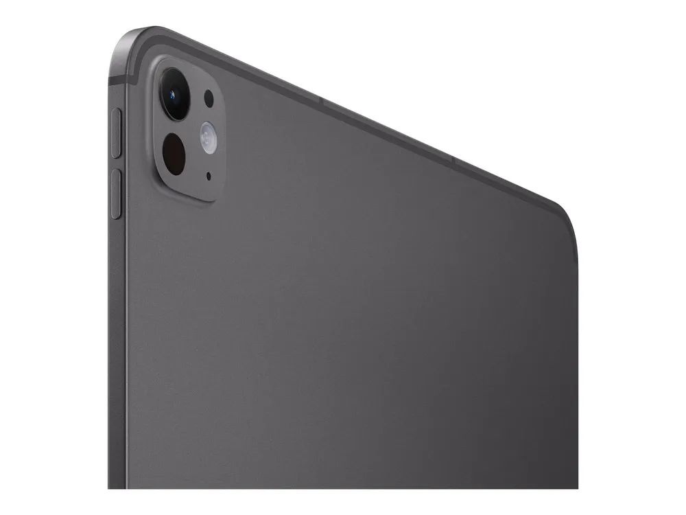 Apple iPad Pro Wi-Fi+ Cellular with standard glass Space - 33 cm