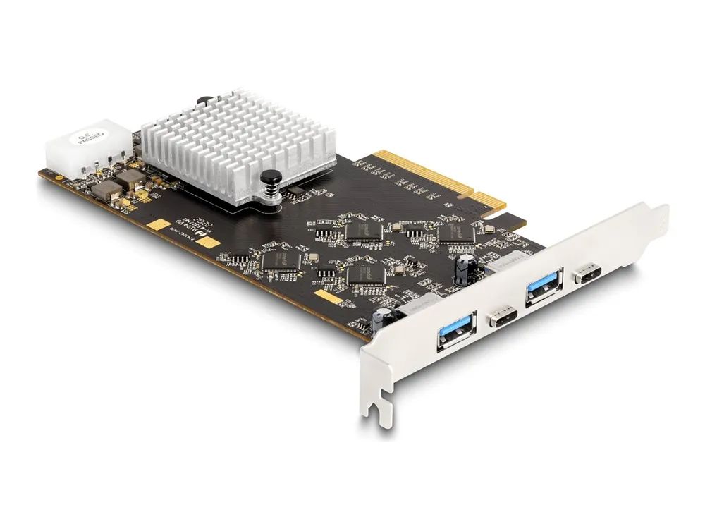 Delock Riser Card