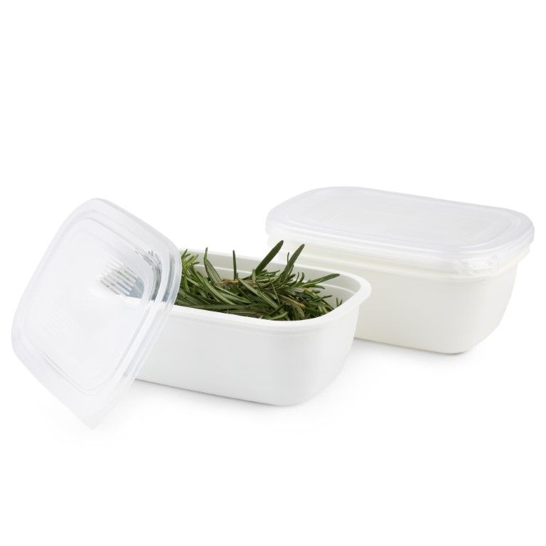 Rotho Set Gefrierdosen 2 x 1.9 l FREEZE