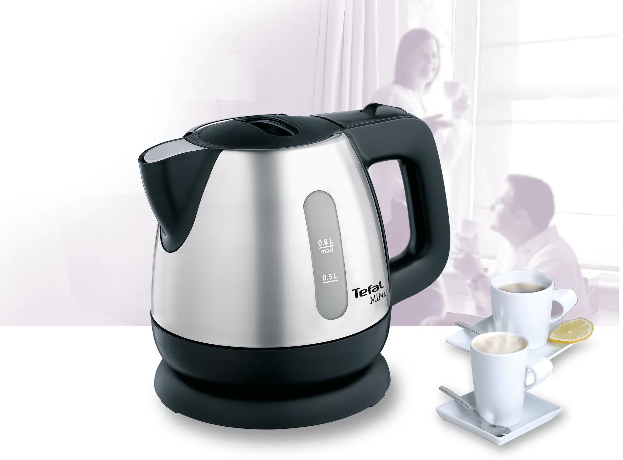 Tefal BI8125 Mini Inox