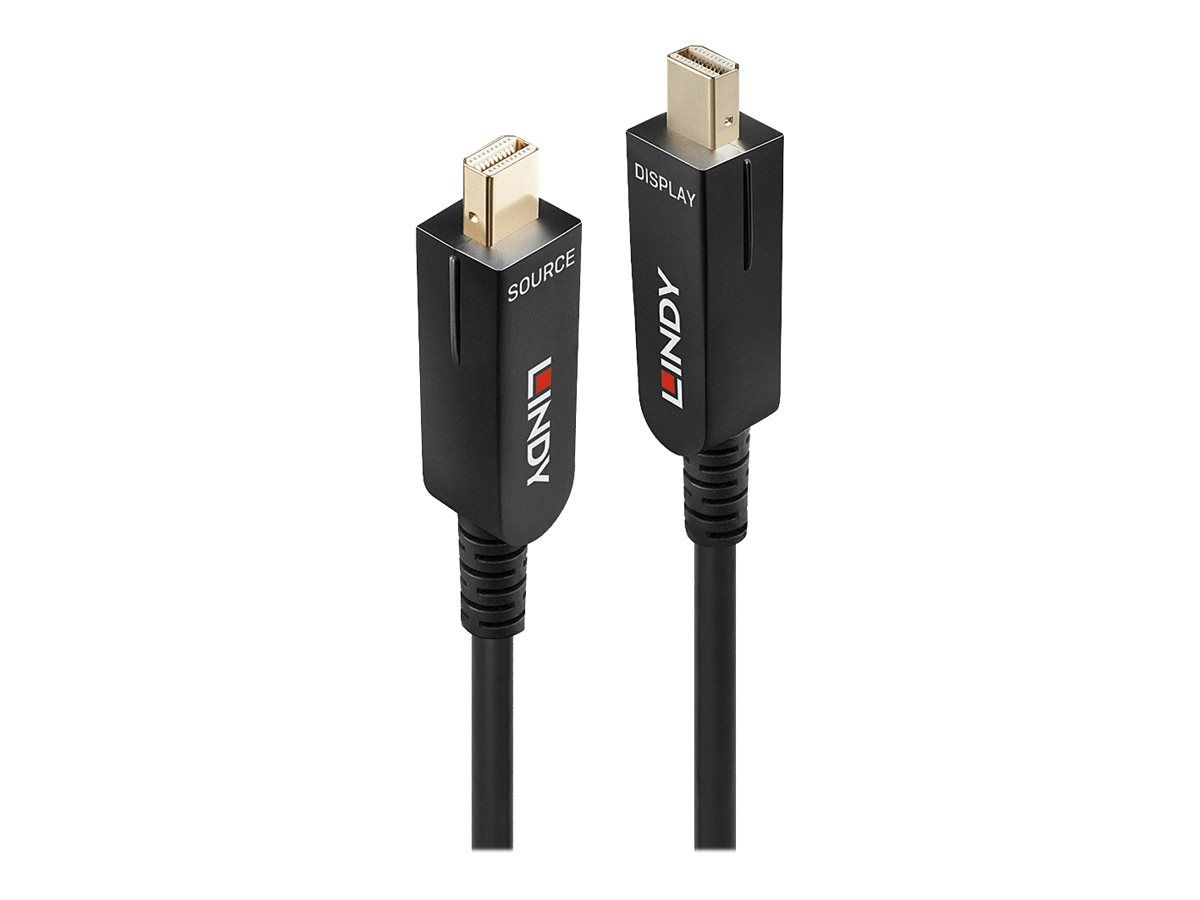 Lindy DisplayPort-Kabelsatz - Mini DisplayPort (M)