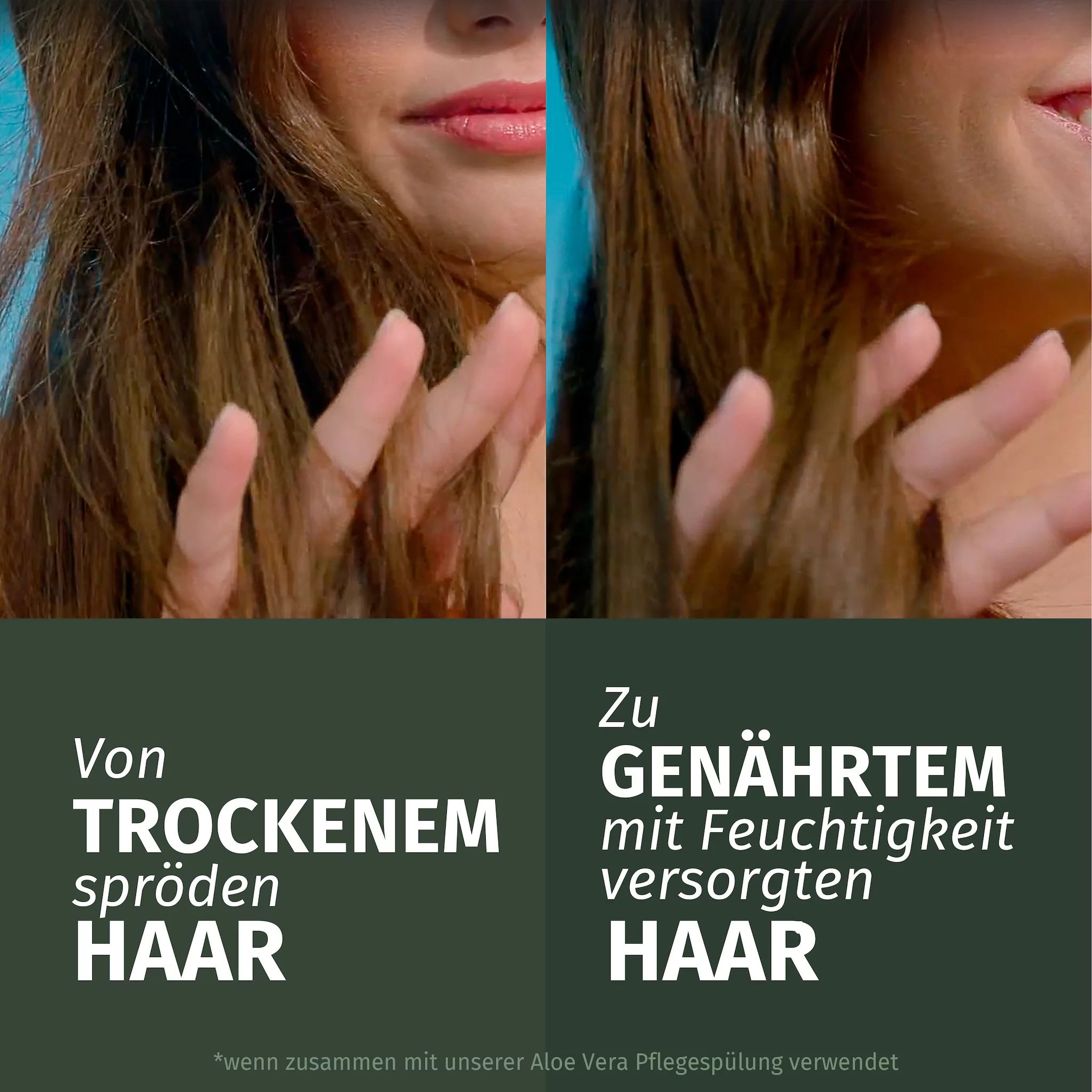 Herbal Essences Feuchtigkeit Aloe Pflegespülung